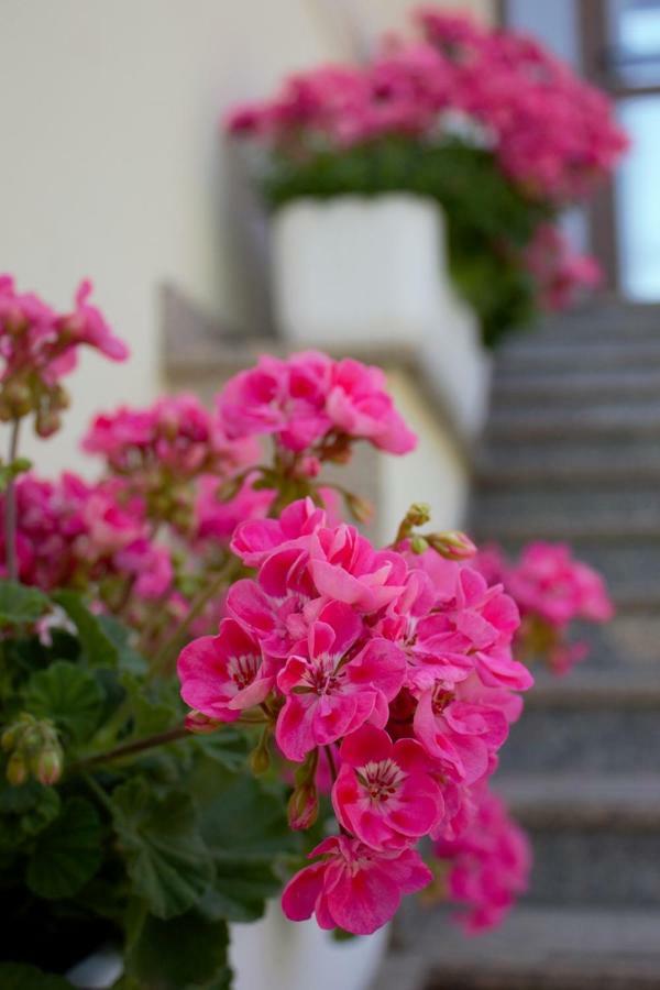 Room Kris With Private Entrance & Private Bathroom Vilanija Exterior foto